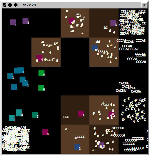 Snapshot of a DiDIY computer simulation