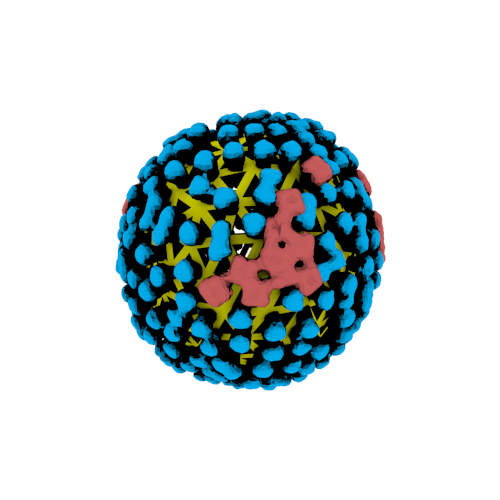 A 3D visualisation of a flue virus